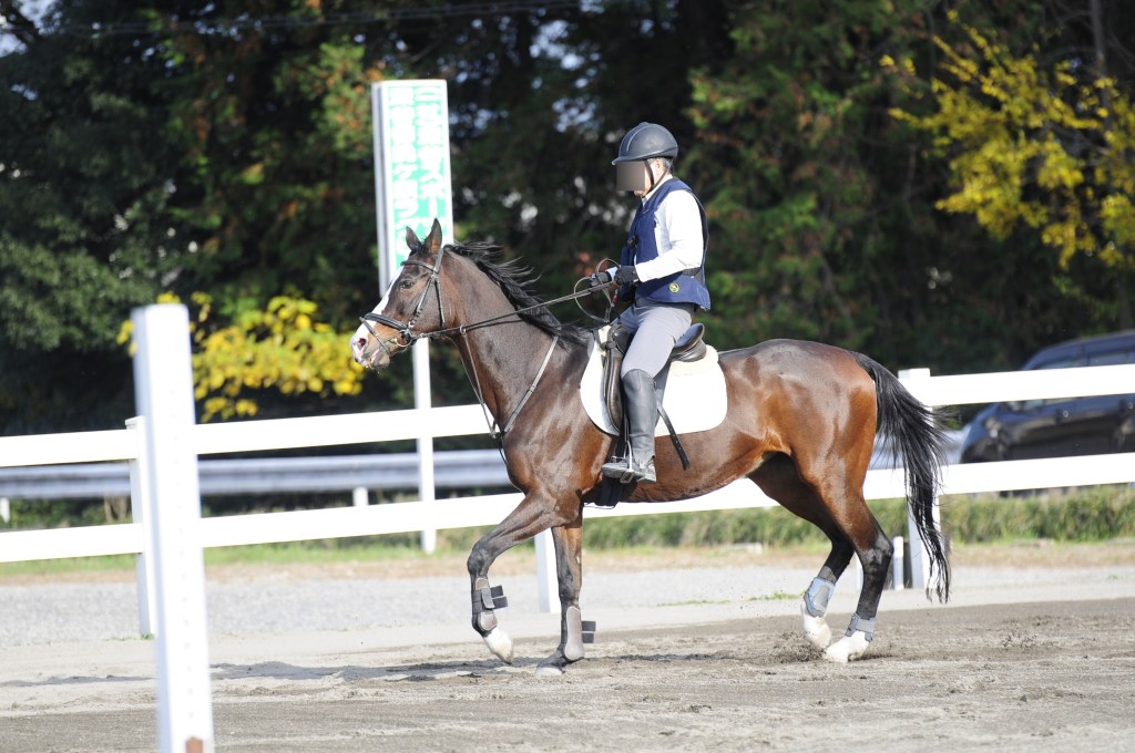 【番外編】キャンピングカーが来る前の週末は、乗馬クラブへ